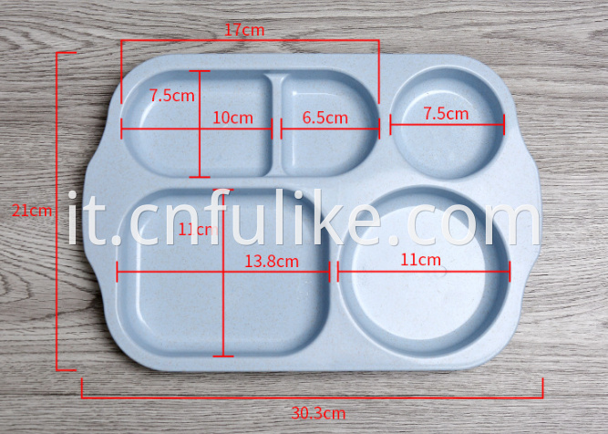 Divided Plate